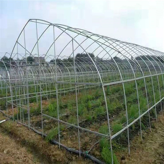 Hot Selling Different Line Tube Aluminum Greenhouse Product